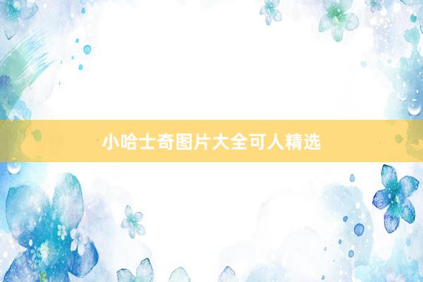 小哈士奇图片大全可人精选