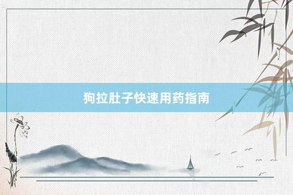 狗拉肚子快速用药指南